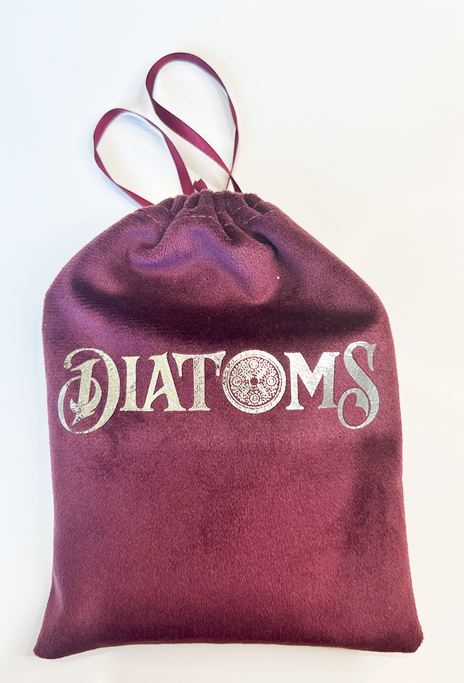 A purple velvet draw bag with silver DIATOMS logo.