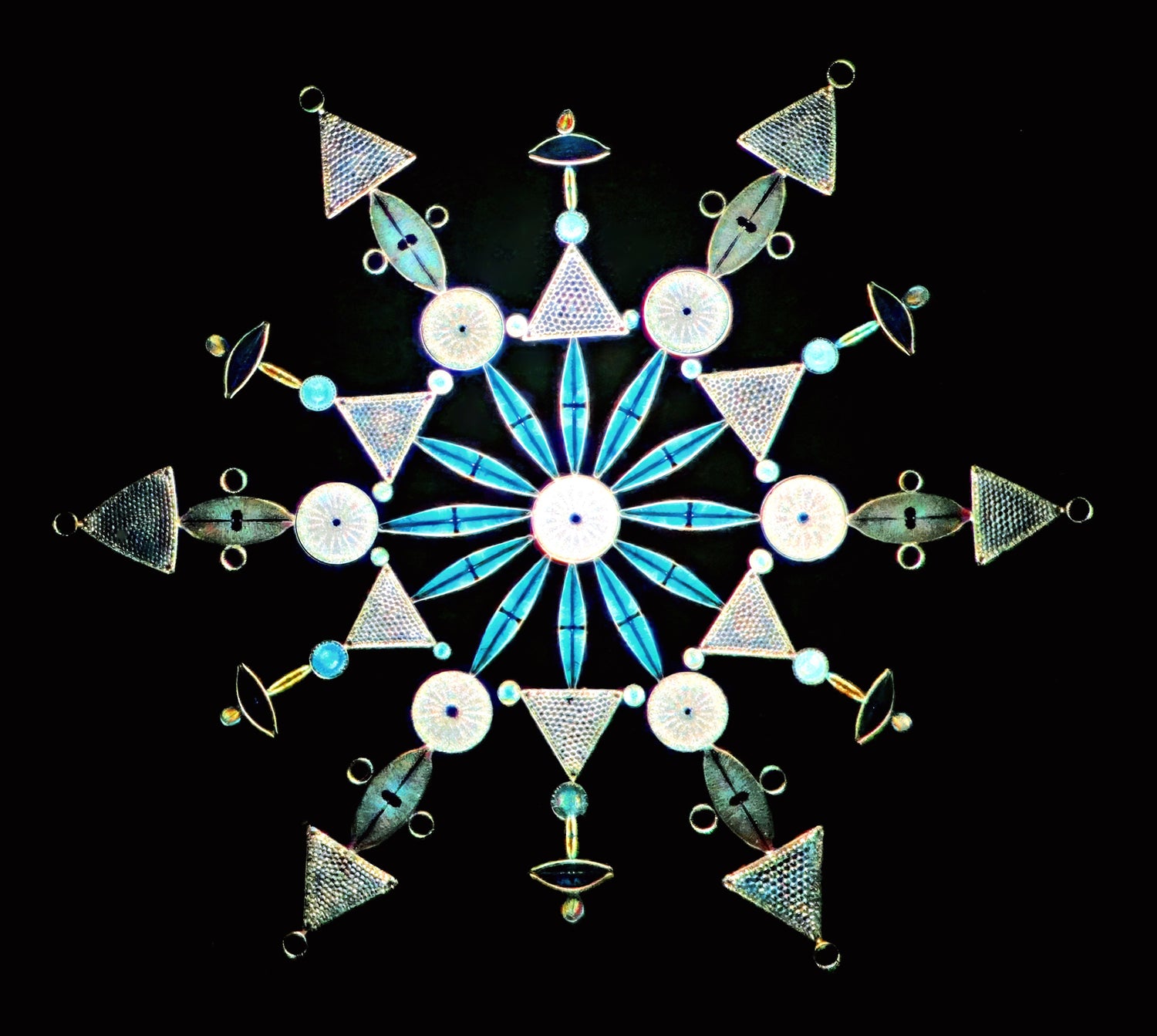Historical diatom mosaic photo by Howard Lnynk